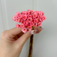 Mini marguerites séchées naturelles, fleurs étoilées brésiliennes, petites étoiles Glixia, préservées, carrées, faites à la main, pour mariage, décoration DIY en résine