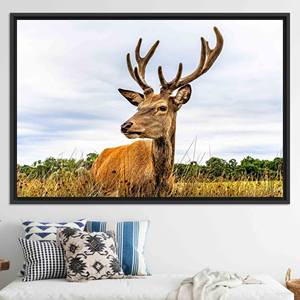 Tableau mural élégant sur toile avec motif de cerf : Œuvre d'art imprimée pour la décoration intérieure, TOILE ENCADRÉE NOIRE - Product Image 1