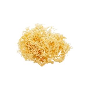 Bulk Raw Sea Moss-Récolté durablement, séché au soleil, qualité supérieure au meilleur prix! - Product Image 4