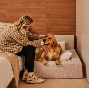 Cama Moderna para Mascotas, Cojín de Tela Gruesa, Cómodo, Universal para Perros, Venta al por Mayor para el Hogar, Oficina, Sala de Estar - Product Image 5