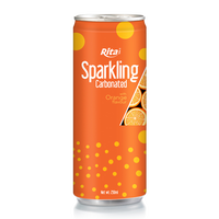 Gratis Monster Bruisend Water Natuurlijke Gearomatiseerde Gefilterde Puree Redelijke Prijs Voorkomen Uitdroging Fruitgroentesap