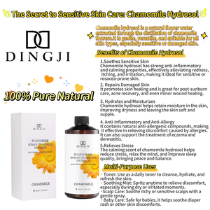 DINGJI 100% camomille naturelle meilleur Toner <span class=keywords><strong>de</strong></span> soin <span class=keywords><strong>de</strong></span> la peau hydrosol d'<span class=keywords><strong>eau</strong></span> <span class=keywords><strong>florale</strong></span> toner <span class=keywords><strong>de</strong></span> visage coréen pour toutes les peaux toner <span class=keywords><strong>de</strong></span> visage - Product Image 2