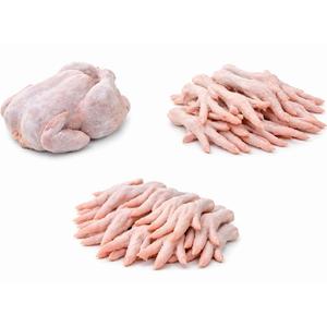 Exportador de Patas de Pollo Premium / Aves de Corral de Alta Calidad - Product Image 6