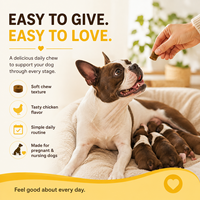 Complément prénatal pour chiens, croquettes molles pour le développement des chiots, pour les mamans canines gestantes, soins de lactation, marque privée, vente en gros, B2B