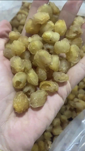 ลำไยตากแห้งแบบพรีเมี่ยมจากเวียดนามรสชาติหวานธรรมชาติทำจากผลไม้สุก100% เหมาะสำหรับการส่งออก - Product Image 3