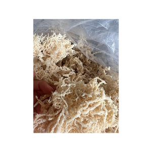 Algues séchées vietnamiennes Eucheuma Cottonii riches en fibres et en iode, parfaites pour les compléments alimentaires et les additifs alimentaires - Product Image 1