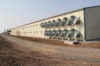 Estructura de gallinero prefabricado Granja avícola Prefabricado Motor de acero proporcionado Gallinero móvil automático