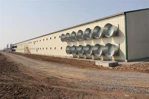 Yapısı prefabrik tavuk evi tavuk çiftliği prefabrik çelik Motor sağlanan mobil tavuk kümesi otomatik - Product Image 4