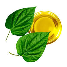 Aceite Esencial Puro de Hoja de Betel y Aroma, Marca Privada y Suministro a Granel, Aceite Esencial de Grado Aromaterapia de la India - Product Image 4