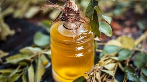 Vente en gros d'huile essentielle de feuille de curry de qualité thérapeutique en vrac à bon prix 100% Pure meilleure huile essentielle de feuille de curry d'Inde - Product Image 3