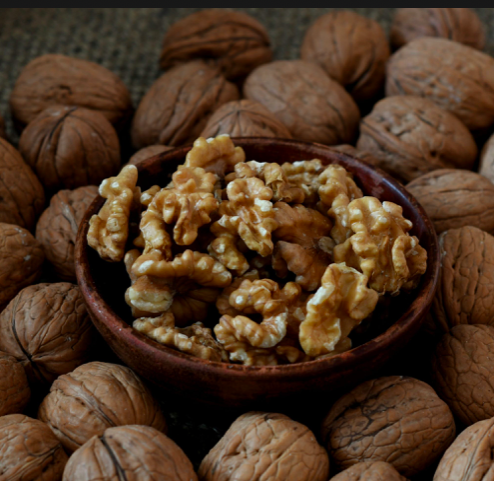 Fresh Pistachio Nuts Dried Raw Natural