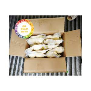 CUBOS DE YUCA CONGELADOS DE ALTA CALIDAD DE VIETNAM PARA USO DE ALIMENTOS COMPRADORES A GRANEL MEJOR PRECIO SUMINISTRO RAÍCES ENTERAS Y YUCHA PELADA - Product Image 3