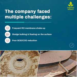 Biotreatment Of Industrial Effluents - Product Image 3