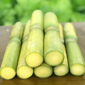 พรีเมี่ยม! แท่งอ้อยแช่แข็ง | คุณภาพที่สอดคล้องกันสำหรับตลาดโลก - Product Image 1