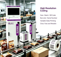 Printer Inkjet Antian UV PIJ 600 DPI Kecepatan Tinggi untuk Pencetakan Label Kode QR GS1, Barcode, Logo, Tanggal, Nomor Batch