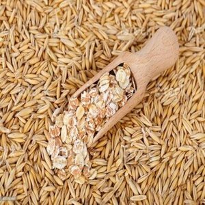 Avena Integral en Grano al por Mayor, Granos de Avena Naturales, Alta Nutrición, Sin Gluten, Sin OMG, Para Consumo Humano, 12 Meses de Vida Útil, En Venta - Product Image 1