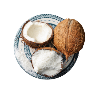 Coco deshidratado alto en grasa 62-65% utilizado en tecnología alimentaria y procesamiento de confitería/ Sra. Lima - Product Image 1