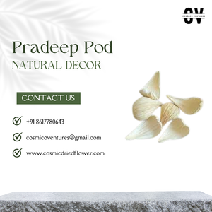 Potpourri Pradeep Pod de buena calidad para bodas, eventos en casa, decoración de oficina y arreglo de flores secas - Product Image 4