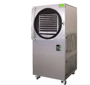 Liofilizador Comercial SUS304 220V Automático con Bomba para Procesamiento de Carne, Frutas, Verduras y Alimentos - Product Image 1