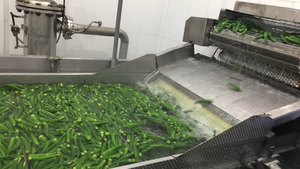 Emballage de Style en vrac de couleur naturelle de l'akina du Vietnam - Product Image 5