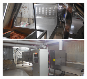 Industriële Sterilisator Voor Magnetron Chia Zaad Sesam Lijnzaad Quinoa Sterilisatie Apparatuur - Product Image 5