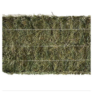 Luzerne Lucerne Foin Premium Aliments pour animaux pour bétail Cheval Vache Poulet Animaux de compagnie pour animaux de compagnie Alfafa Foin et alimentation animale - Product Image 5