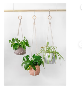 Simple Minimalist No Tassel Macrame Plant Hanger Customized Macrame Plant Hanger for <b>Wall</b> and Window Decoration - Product Image 2