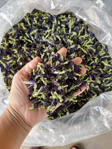 Mariposa flor té guisante flor té Ternatea venta al por mayor Citoria Ternatea Akina - Product Image 2