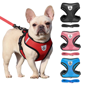 Collar de perro martingala de nailon ajustable, suave, fácil de limpiar, diseño de impresión moderno para el entrenamiento diario de caminar, seguro antiescape para perros - Product Image 6