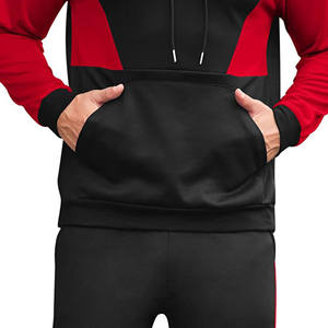 Conjunto de 2 Piezas de Sudadera con Capucha y Pantalones Deportivos de Felpa 100% Algodón para Hombre, Invierno, Impresión de Logotipo Personalizada, Conjuntos Deportivos, Chándales Unisex - Product Image 2