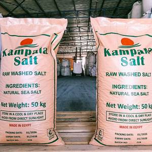 Sel de mer naturel lavé de qualité industrielle Kampala Egypte 50 kg, poudre de sel de mer brut certifiée ISO, chlorure de sodium 98 % de pureté - Product Image 1