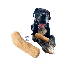 Bâton à mâcher pour animaux de compagnie en bois de café naturel, très populaire, durable et écologique, pour les activités de plein air et le plaisir quotidien de la mastication - Product Image 1