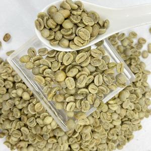 Café Arabica vert de spécialité du commerce direct du Vietnam S18 Robusta torréfié de marque personnalisée Livraison rapide - Product Image 3