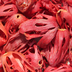 פרמיה 100% אורגני Mace תבלין ואבקת מייס טהורה [50 רשת] פרחי אגוז מוסקט טבעי ללא מעטפת + קרקע טרייה - Product Image 3