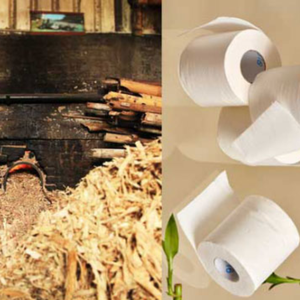 บล็อกชานอ้อยอบแห้งสำหรับผลิตจากกระดาษวัตถุดิบชานอ้อยแห้งบริสุทธิ์/มิสเจสซี่ - Product Image 4