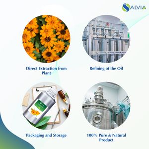 Huile de Calendula 100% Pure et Naturelle en Gros – Biologique, issue de graines et de fleurs, pour Soins de la Peau et Santé, Bouteille OEM, Emballage Personnalisé - Product Image 4