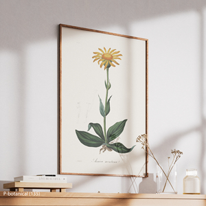 ภาพพิมพ์บนผ้าใบลายดอกไม้สีเหลือง ศิลปะตกแต่งผนังแนวพฤกษศาสตร์ ภาพประกอบพืชในทุ่งหญ้าสมัยใหม่ พร้อมกรอบไม้ - Product Image 4