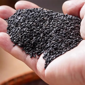 Semillas de Sésamo Orgánicas de Alta Calidad, Nueva Cosecha, Sin OMG, a Granel para Refrigerios, Repostería y Cocina, Exportador con Alcance Global - Product Image 3