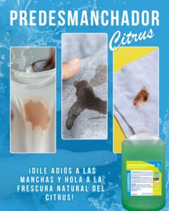 TENSIOATTIVI DAL MESSICO Detergente Ecologico 4 Litri Fragranza Pre-Citrica al Limone 80% Ingredienti Attivi per Rimozione Liquidi - Product Image 2