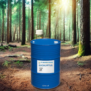 Aceite Esencial de Eucalipto en Tambor de 200 kg, Cosmético, Suministro a Granel Natural - Product Image 3