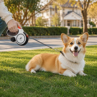 Laisse rétractable durable pour animaux de compagnie avec distributeur de sacs à déjections, en nylon réglable, réfléchissante et robuste, pour chats et chiens