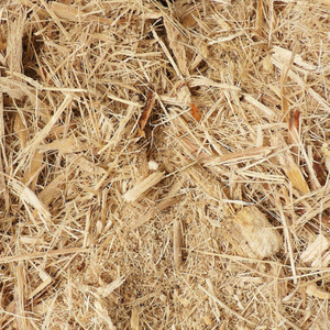 BAGAS DE CAÑA DE AZÚCAR 100% NATURALES DE VIETNAM PARA EXPORTACIÓN 2025 - Product Image 1