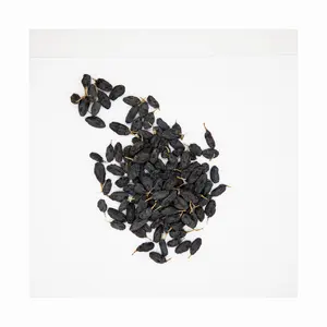 Rosinen schwarz schattig getrocknet (100-120) Großhandel Natural Bulk Large Rosinen Pure Hybrid Black Rosinen für Lebensmittel