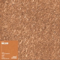 Novac Ceramic LLP's Model-DC-221 600x600mm Carreaux polis brillants Couleur foncée Plancher mural Double Charge Design
