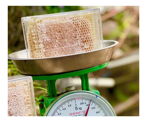 Meilleure vente produit de miel biologique complément alimentaire nid d'abeille de haute qualité 100% nid d'abeille brut naturel pur - Product Image 1