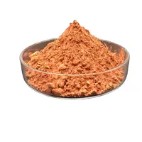 for Smelting and Electrolyzing Copper 99.8 %Min Copper Powder - China Cu  Powder, Copper Metal Powder