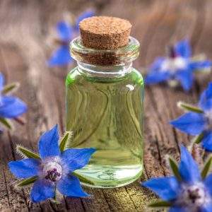 Fabricante de fábrica al por mayor de aceite portador de borraja 100% aceite portador de borraja puro y natural exportador a granel de grado premium India - Product Image 4