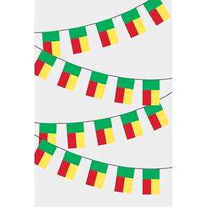 Guirlande de drapeaux rectangulaires du Bénin pour décorations de fête - Product Image 1