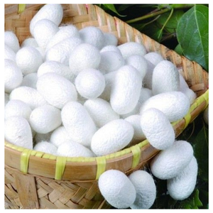 ผ้านวมคลุม100% ทำจากผ้าไหมมัลเบอร์รี่ออร์แกนิกสำหรับ100% บ้านโรงแรมจากเวียดนาม - Product Image 5