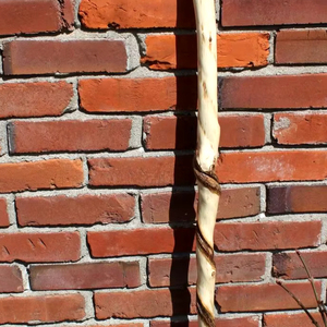 ไม้เท้าเดินป่าทำจากไม้แค้มปิ้งดีไซน์แบบดั้งเดิมไม้เท้ามีดีไซน์แกะสลักด้วยมือ - Product Image 1